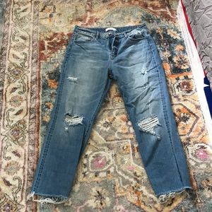 CJLA Chrissy Jeans - Size 15 - NWOT